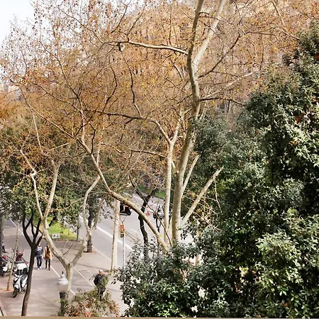 公寓 瓦莱塔旅馆 *